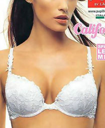 Papillon 2585 balc