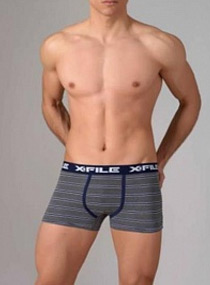X-File Roberto boxer