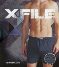 X-File Bernardo shorts