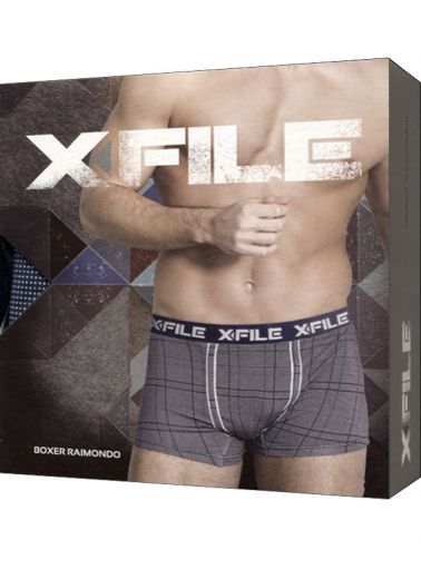 X-File Raimondo boxer