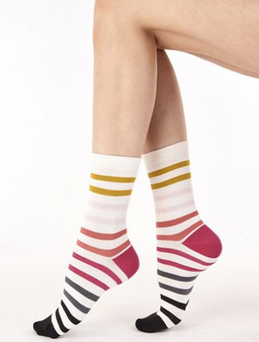 Pretty Polly Exm2